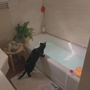 咖啡店危机1-4集在线樱花
