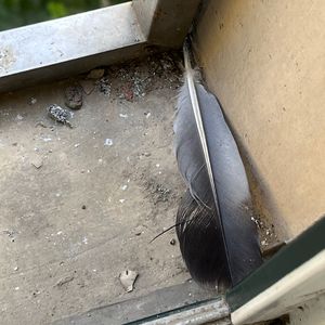 咖啡店危机1-4集在线樱花
