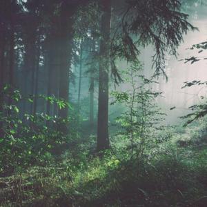 咖啡店危机1-4集在线樱花
